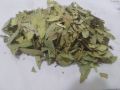 Powder RRS senna leaf
