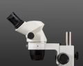 Cognep Stereo Zoom Microscope