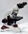 CogPrime 30 Medical Microscope