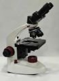 DG3 Megatron Medical Microscope