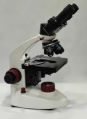 Electricity Black White 220V sf 40b student microscope