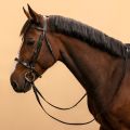 Brown Plain horse leather bridle