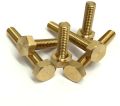 Polished Golden T Shape Brass Bolt