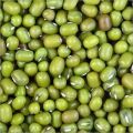 Natural green mung beans