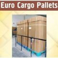 Plastic Euro Cargo Pallets