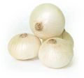 A Grade White Onion