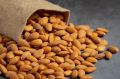 Common california almonds nuts