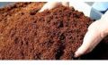 Powder Red-brown Coir Pith coco peat