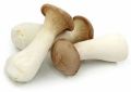 Whole White & Brown fresh king oyster mushrooms