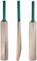 Wood Plain cricket bat