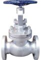 Flanged Grey duplex steel globe valve