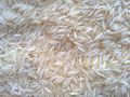 Common Hard White 1121 Steam Basmati Rice