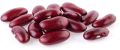 Common Oval red kidney beans