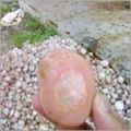 Quartz Pebble Stone