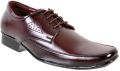 Jolly Jolla Brachoice Lace Up Formal Shoes