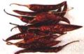 MP D9 Dried Red Chilli