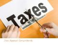 Tax Appeal Consultant