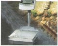 Bench Weighing Scales
