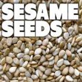 sesame seeds