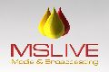 Online Live Streaming Services