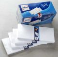 Wpe-02 White Paper Envelopes