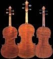 Maplewood Violin