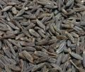 Black Cumin Seeds