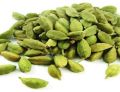 cardamom