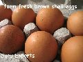 Eggs, Onion, Potato, Dry Chilli, Spices, Cowdung, Brown Eggs, Turmeric Chilli Powder