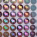 2D Holograms Stickers