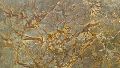 Rain Forest Brown Marble 01
