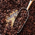 Organic Arabica Coffee Beans