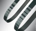 Elastic Ribbed Belts