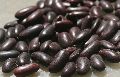 Gunwanti Red Kidney Beans