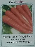 Lalima Fresh Carrot