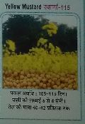 Shuviourna-115 Yellow Mustard Seeds
