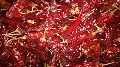 341 Dried Red Chilli