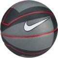 Nike LeBron XII Playground Basketball