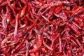 334 Dried Red Chilli