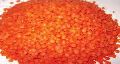 Red Lentil (Masur Dal)