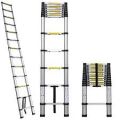 Telescopic Ladder