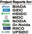 project report service