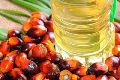 Crude Palm Oil