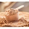 Adults Protein Powder