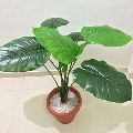 Natural Artificial Potted Plant