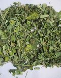 Moringa Oleifera Dry Leaf