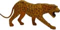 Lord leather animal leopard statues