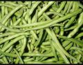 fresh green beans