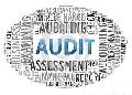MCA Compliance Audit Services