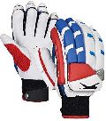 Cricket Hand Gloves